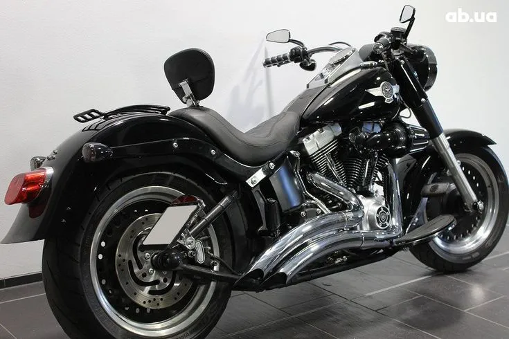 Harley-Davidson FLSTF Image 6